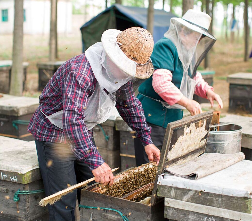 Мед диких пчел Сяоми Superdm Life Square Qinling Soil Honey 250g